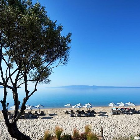 Develikia Private Villas Villa-1 Ierissos Eksteriør bilde